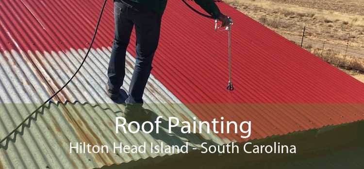 Roof Painting Hilton Head Island - South Carolina