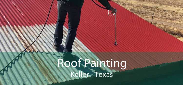 Roof Painting Keller - Texas