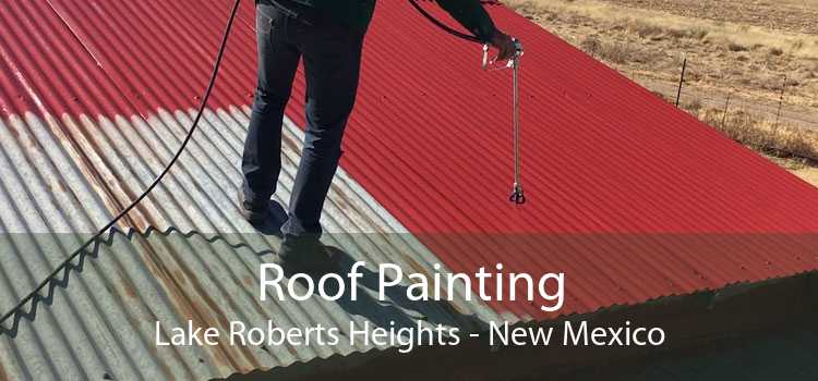 Roof Painting Lake Roberts Heights - New Mexico