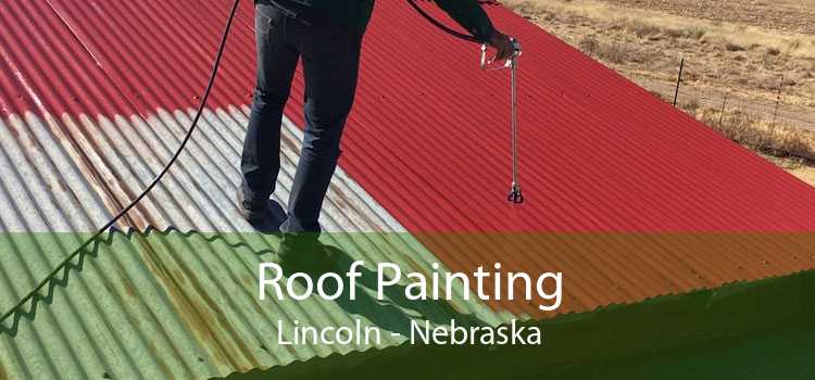 Roof Painting Lincoln - Nebraska