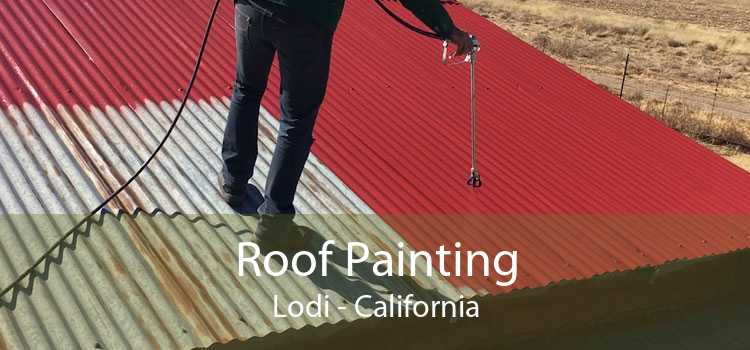 Roof Painting Lodi - California