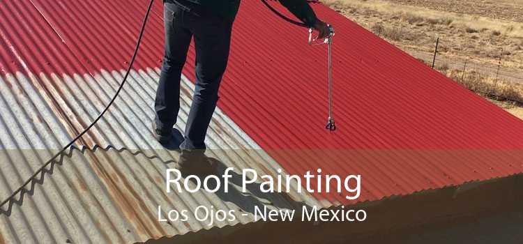 Roof Painting Los Ojos - New Mexico