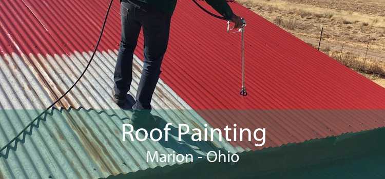 Roof Painting Marion - Ohio