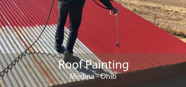 Roof Painting Medina - Ohio
