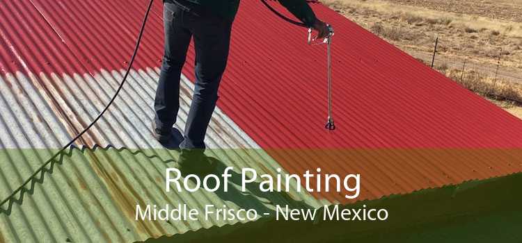 Roof Painting Middle Frisco - New Mexico