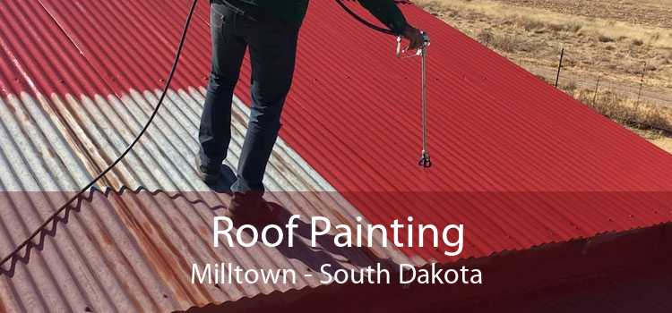 Roof Painting Milltown - South Dakota