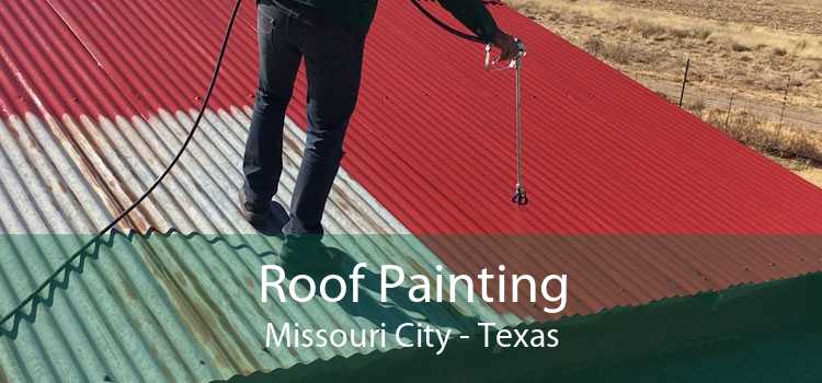 Roof Painting Missouri City - Texas