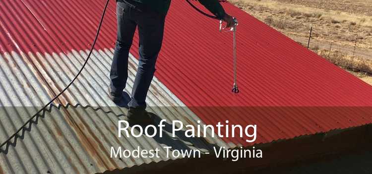 Roof Painting Modest Town - Virginia