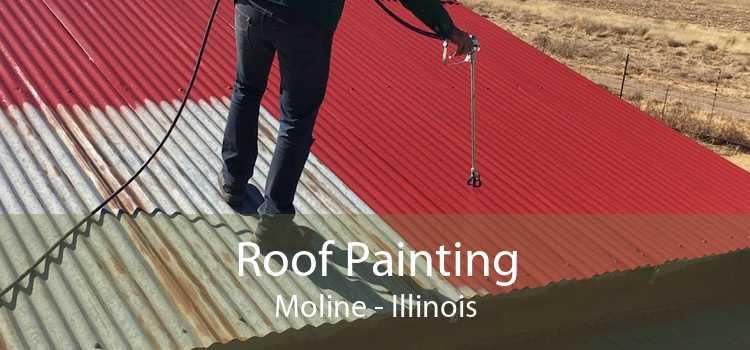 Roof Painting Moline - Illinois