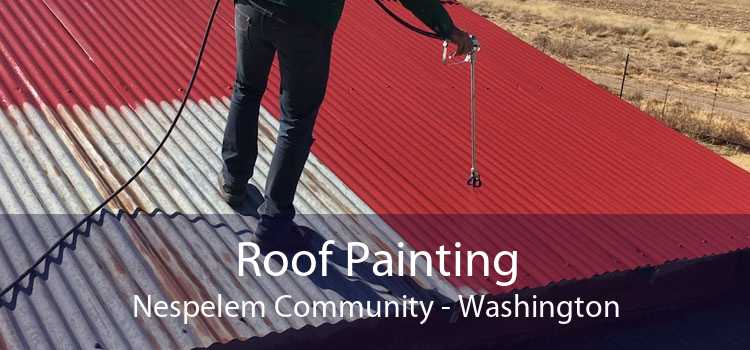 Roof Painting Nespelem Community - Washington