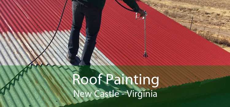 Roof Painting New Castle - Virginia