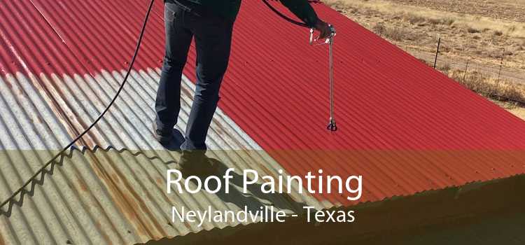 Roof Painting Neylandville - Texas