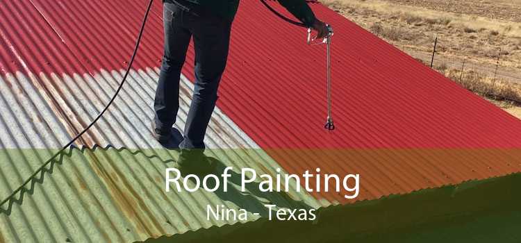 Roof Painting Nina - Texas