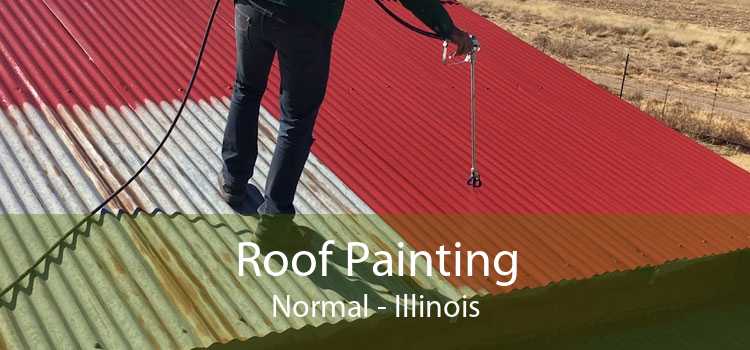 Roof Painting Normal - Illinois