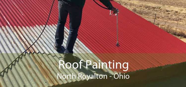 Roof Painting North Royalton - Ohio