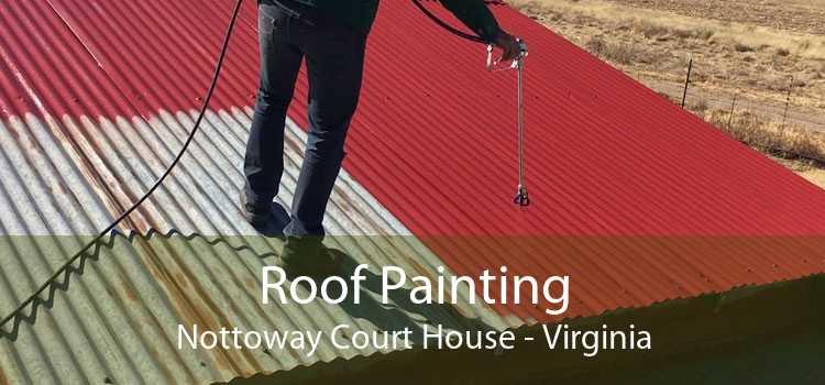 Roof Painting Nottoway Court House - Virginia