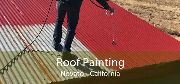 Roof Painting Novato - California