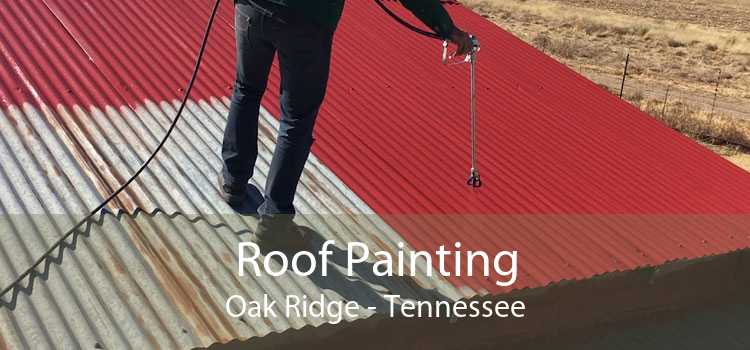 Roof Painting Oak Ridge - Tennessee