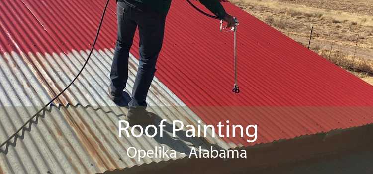 Roof Painting Opelika - Alabama