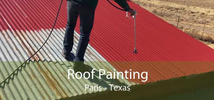 Roof Painting Paris - Texas