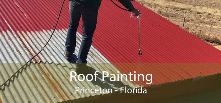 Roof Painting Princeton - Florida