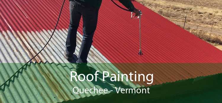 Roof Painting Quechee - Vermont