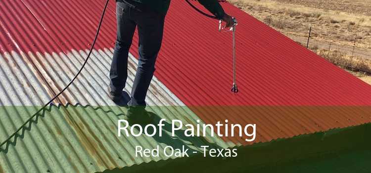 Roof Painting Red Oak - Texas