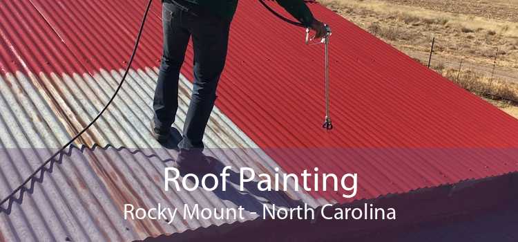 Roof Painting Rocky Mount - North Carolina