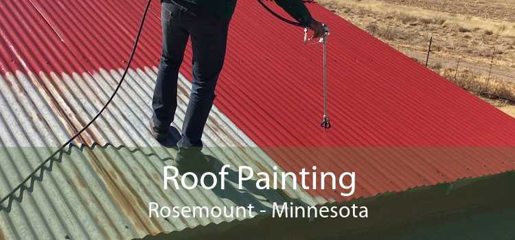 Roof Painting Rosemount - Minnesota