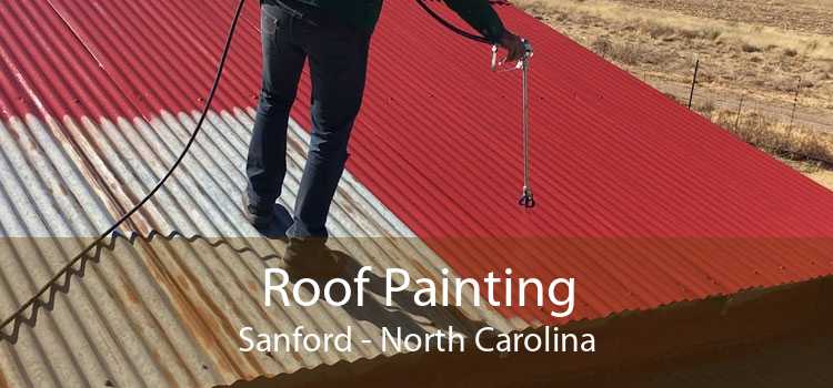 Roof Painting Sanford - North Carolina
