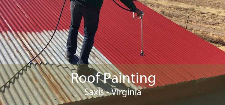 Roof Painting Saxis - Virginia