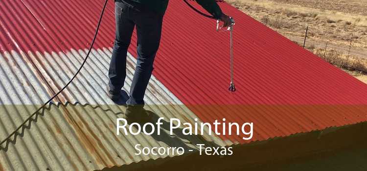 Roof Painting Socorro - Texas