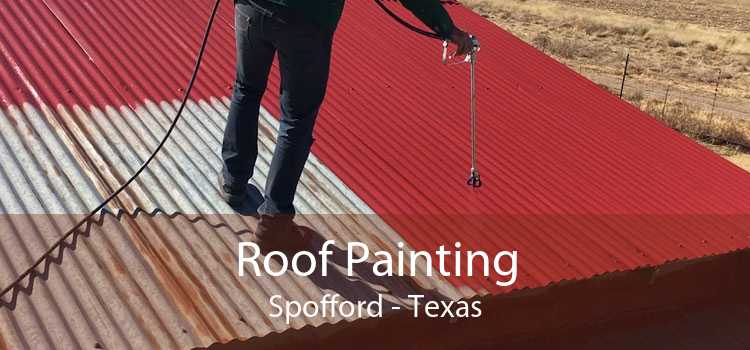 Roof Painting Spofford - Texas