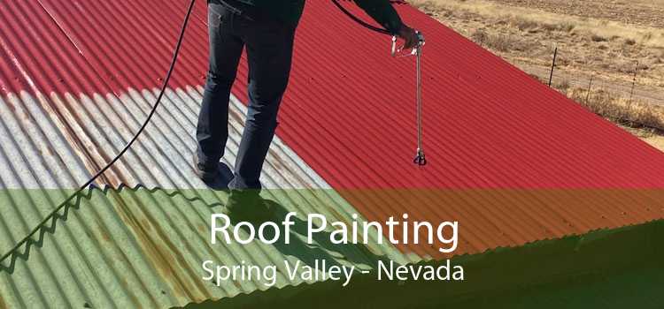 Roof Painting Spring Valley - Nevada