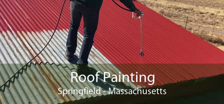 Roof Painting Springfield - Massachusetts