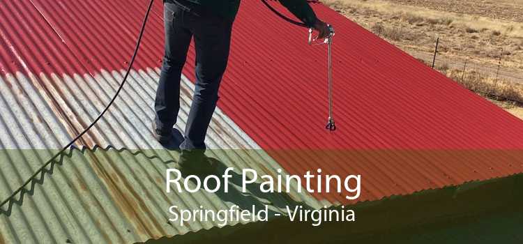 Roof Painting Springfield - Virginia