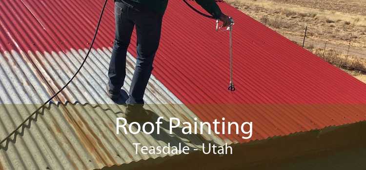 Roof Painting Teasdale - Utah