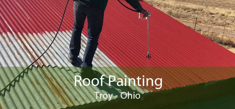 Roof Painting Troy - Ohio