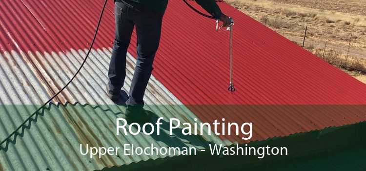 Roof Painting Upper Elochoman - Washington