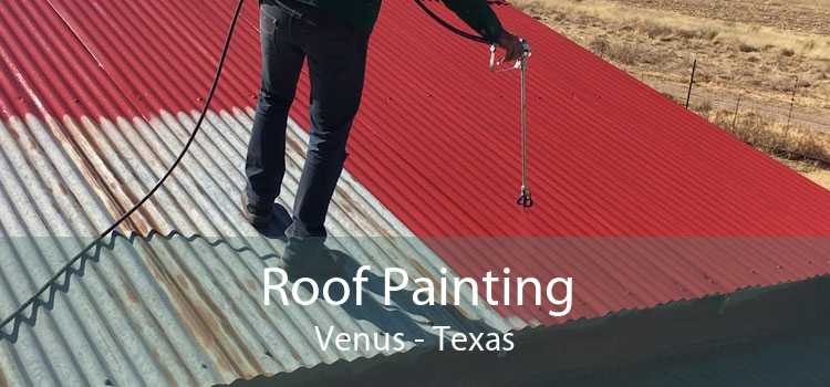 Roof Painting Venus - Texas