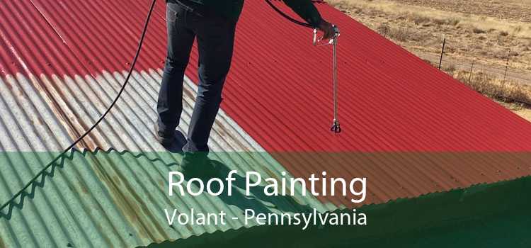 Roof Painting Volant - Pennsylvania