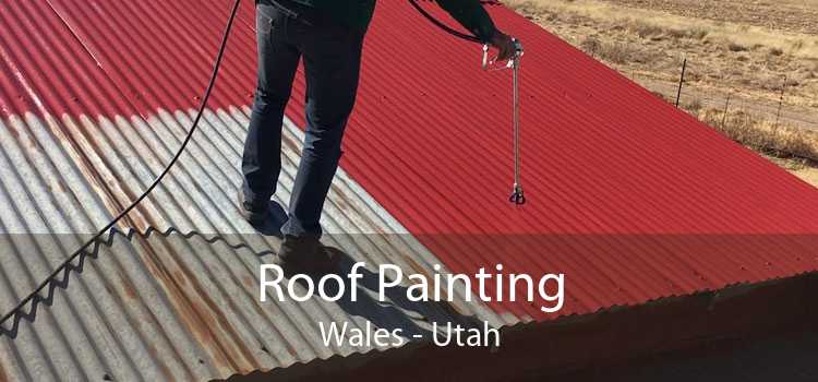 Roof Painting Wales - Utah