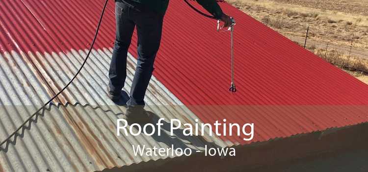 Roof Painting Waterloo - Iowa
