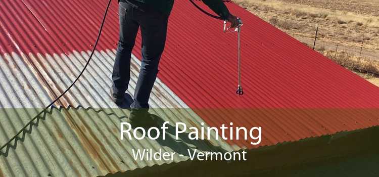 Roof Painting Wilder - Vermont