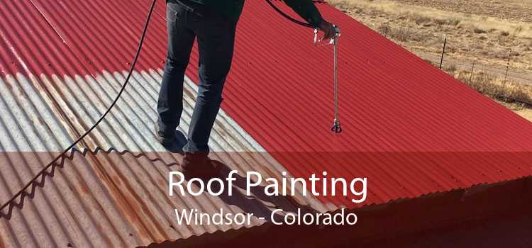 Roof Painting Windsor - Colorado