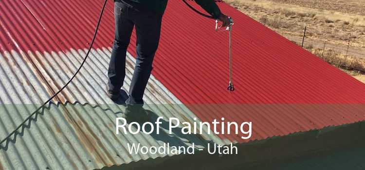 Roof Painting Woodland - Utah