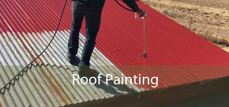 Roof Painting 
