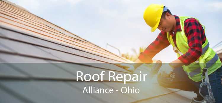 Roof Repair Alliance - Ohio