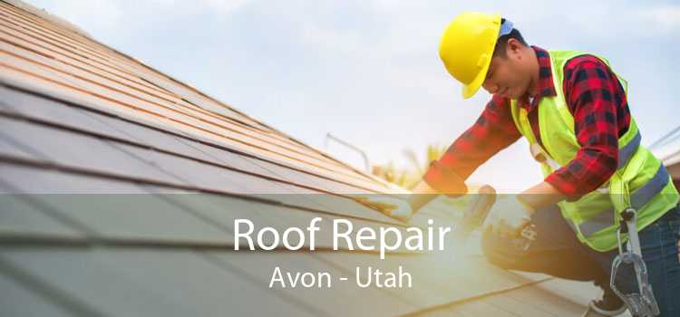 Roof Repair Avon - Utah