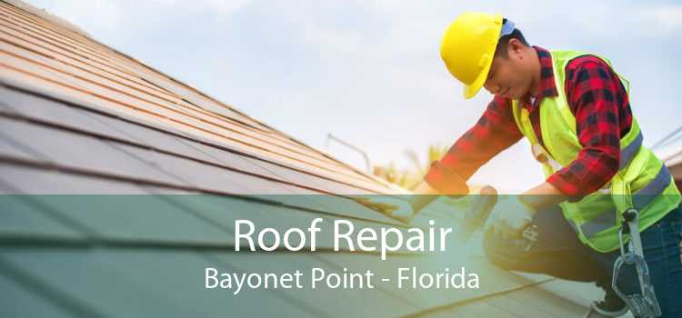 Roof Repair Bayonet Point - Florida